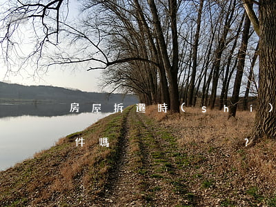 房屋拆遷時(shí)有什么政策或是者文件嗎？